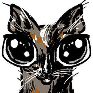 猫のイラスト
