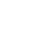 羽ばたく鳥