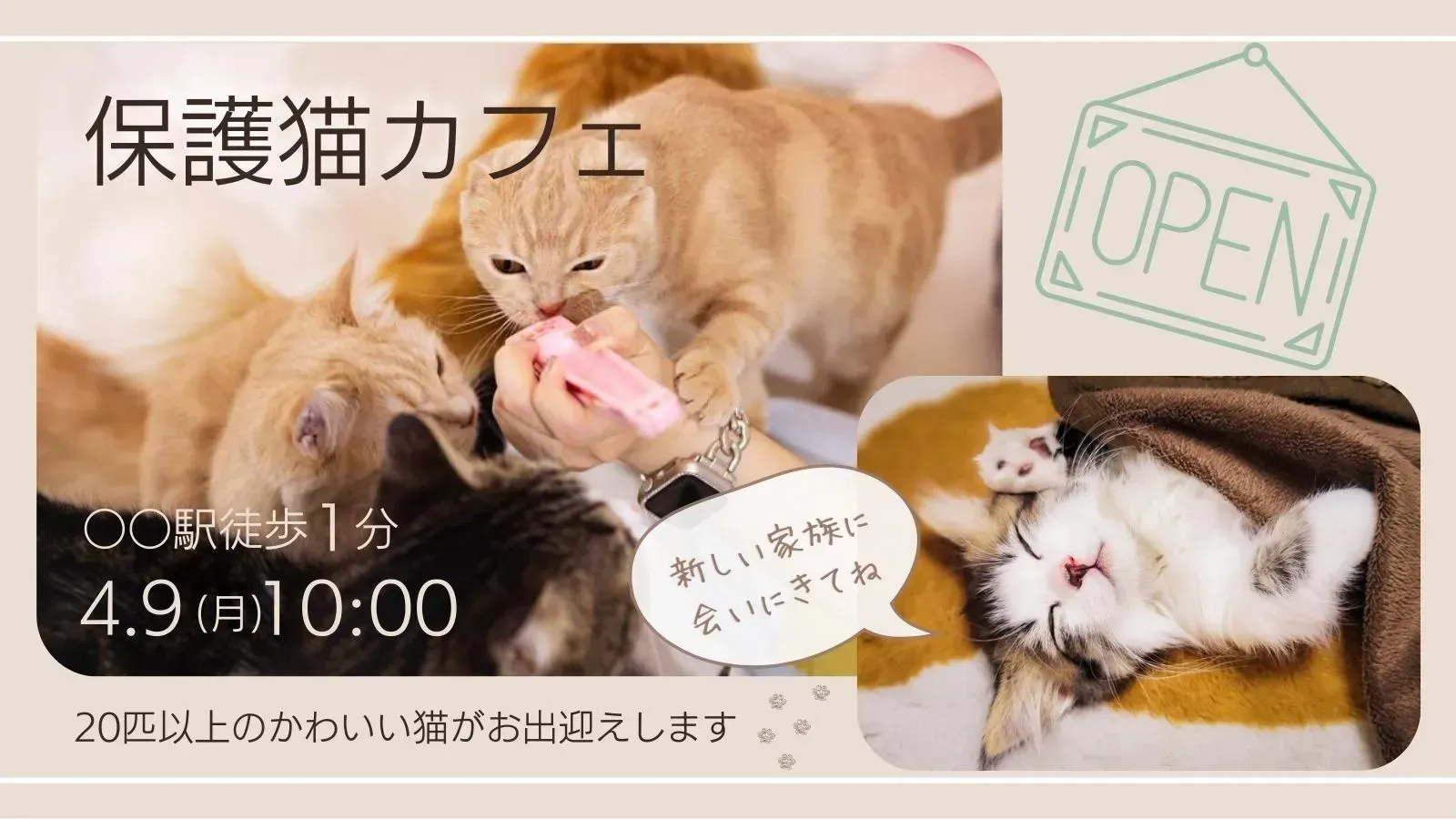 保護猫カフェ バナー