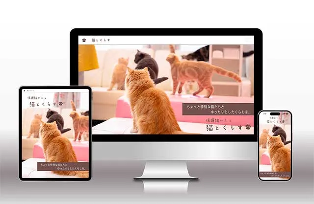 保護猫カフェファーストビュー