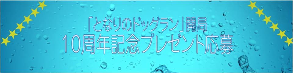 バナー2