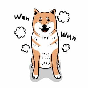 柴犬